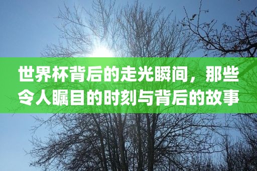 世界杯背后的走光瞬间，那些令人瞩目的时刻与背后的故事金炬实业股份有限公司