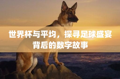 世界杯与平均，探寻足球盛宴背后的数字故事金炬实业股份有限公司