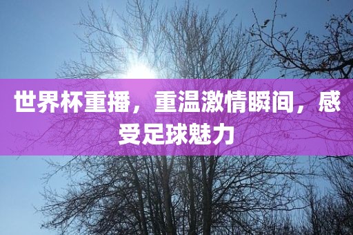 世界杯重播，重温激情瞬间，感受足球魅力