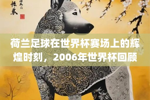 荷兰足球在世界杯赛场上的辉煌时刻，2006年世界杯回顾金炬实业股份有限公司
