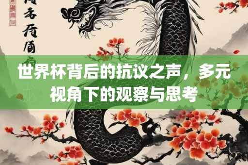 世界杯背后的抗议之声，多元视角下的观察与思考金炬实业股份有限公司