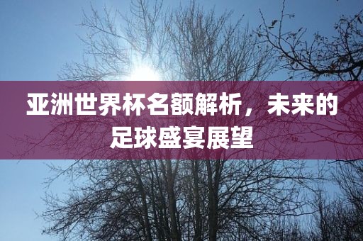 亚洲世界杯名额解析，未来的足球盛宴展望金炬实业股份有限公司
