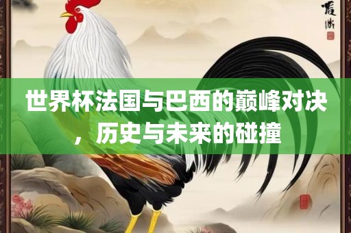 世界杯法国与巴西的巅峰对决，历史与未来的碰撞金炬实业股份有限公司