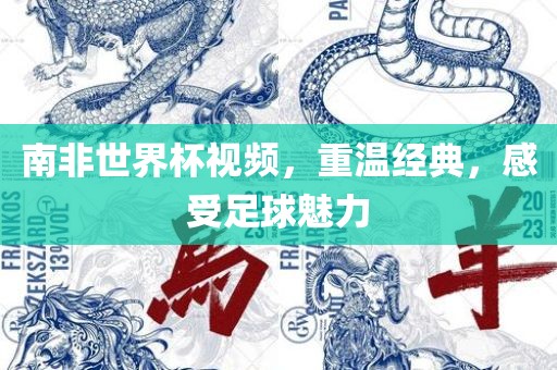 南非世界杯视频，重温经典，感受足球魅力