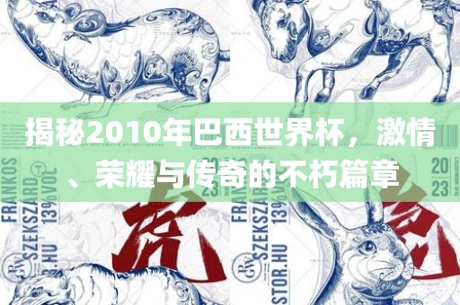 揭秘2010年巴西世界杯，激情、荣耀与传奇的不朽篇章
