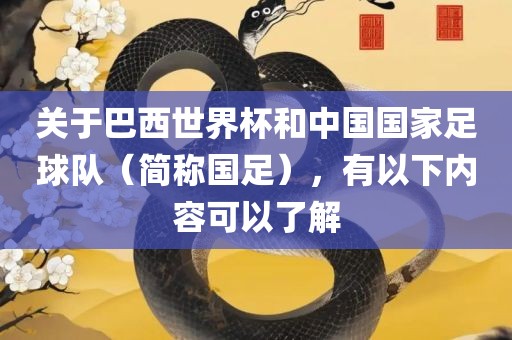 关于巴西世界杯和中国国家足球队（简称国足），有以下内容可以了解