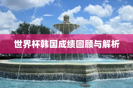 世界杯韩国成绩回顾与解析金炬实业股份有限公司