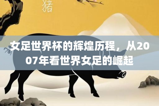 女足世界杯的辉煌历程，从2007年看世界女足的崛起