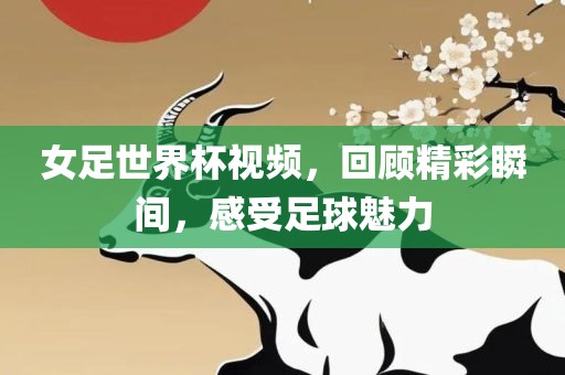 女足世界杯视频，回顾精彩瞬间，感受足球魅力