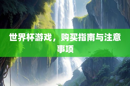 世界杯游戏，购买指南与注意事项