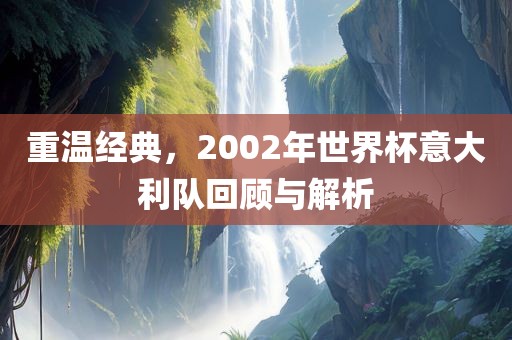 重温经典，2002年世界杯意大利队回顾与解析金炬实业股份有限公司