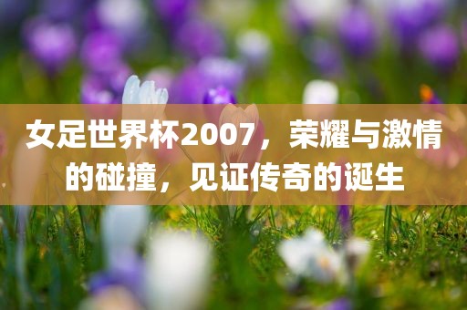 女足世界杯2007，荣耀与激情的碰撞，见证传奇的诞生金炬实业股份有限公司
