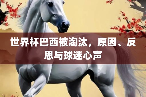 世界杯巴西被淘汰，原因、反思与球迷心声金炬实业股份有限公司