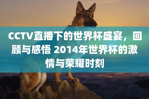 CCTV直播下的世界杯盛宴，回顾与感悟 2014年世界杯的激情与荣耀时刻