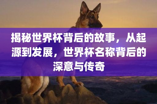 揭秘世界杯背后的故事，从起源到发展，世界杯名称背后的深意与传奇金炬实业股份有限公司