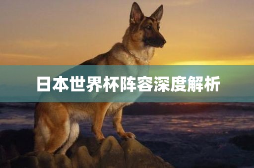 日本世界杯阵容深度解析金炬实业股份有限公司