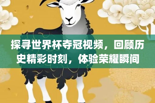 探寻世界杯夺冠视频，回顾历史精彩时刻，体验荣耀瞬间金炬实业股份有限公司