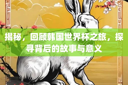 揭秘，回顾韩国世界杯之旅，探寻背后的故事与意义