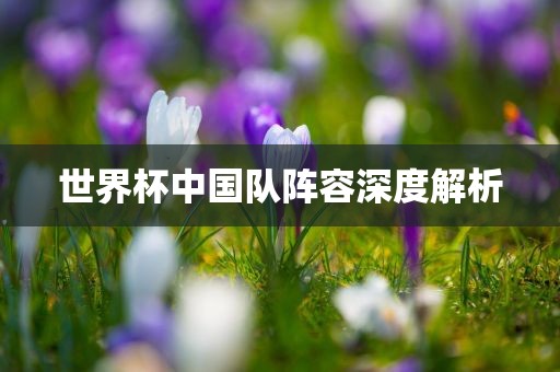 世界杯中国队阵容深度解析