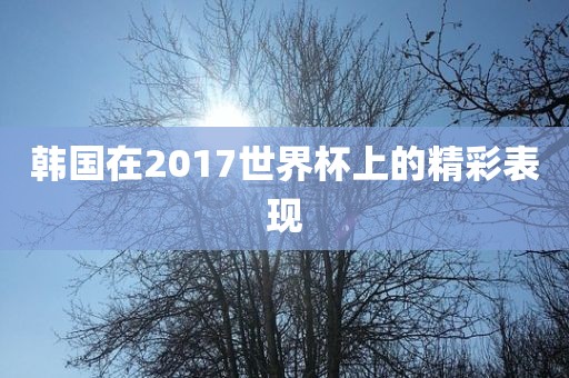 韩国在2017世界杯上的精彩表现