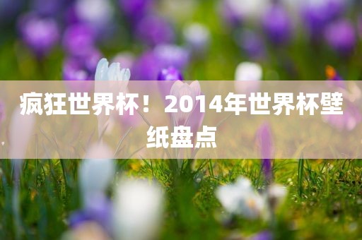 疯狂世界杯！2014年世界杯壁纸盘点