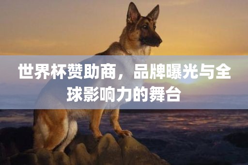 世界杯赞助商，品牌曝光与全球影响力的舞台