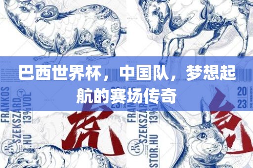 巴西世界杯，中国队，梦想起航的赛场传奇