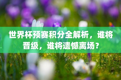 世界杯预赛积分全解析，谁将晋级，谁将遗憾离场？金炬实业股份有限公司