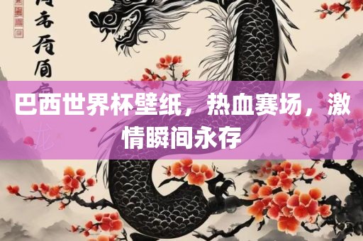 巴西世界杯壁纸，热血赛场，激情瞬间永存金炬实业股份有限公司
