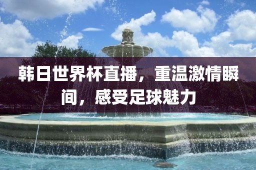 韩日世界杯直播，重温激情瞬间，感受足球魅力