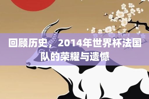 回顾历史，2014年世界杯法国队的荣耀与遗憾