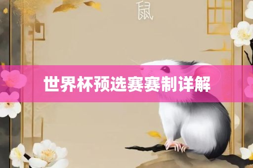 世界杯预选赛赛制详解