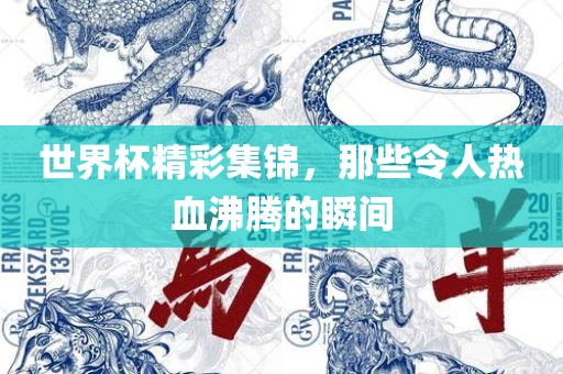 世界杯精彩集锦，那些令人热血沸腾的瞬间