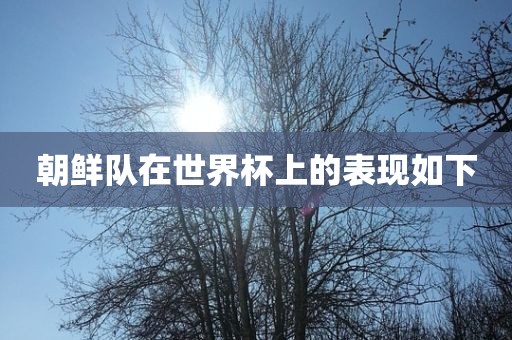 朝鲜队在世界杯上的表现如下