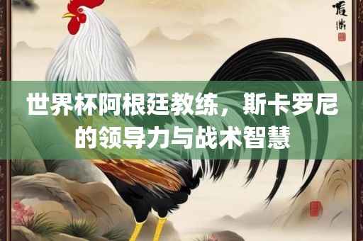 世界杯阿根廷教练，斯卡罗尼的领导力与战术智慧