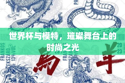 世界杯与模特，璀璨舞台上的时尚之光