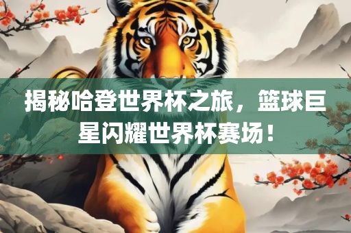 揭秘哈登世界杯之旅，篮球巨星闪耀世界杯赛场！