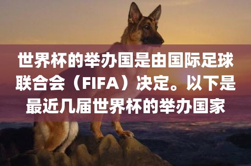 世界杯的举办国是由国际足球联合会（FIFA）决定。以下是最近几届世界杯的举办国家