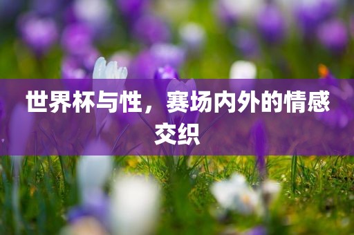 世界杯与性，赛场内外的情感交织