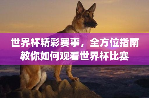 世界杯精彩赛事，全方位指南教你如何观看世界杯比赛