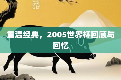 重温经典，2005世界杯回顾与回忆
