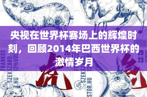 央视在世界杯赛场上的辉煌时刻，回顾2014年巴西世界杯的激情岁月