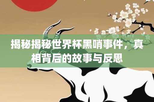 揭秘揭秘世界杯黑哨事件，真相背后的故事与反思
