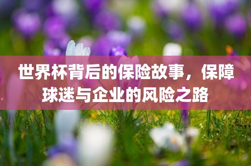 世界杯背后的保险故事，保障球迷与企业的风险之路