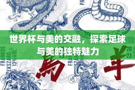 世界杯与美的交融，探索足球与美的独特魅力