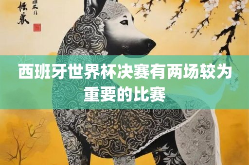 西班牙世界杯决赛有两场较为重要的比赛