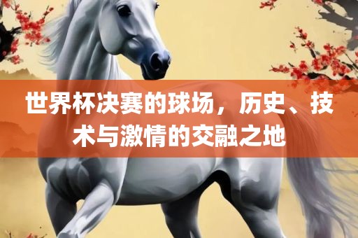 世界杯决赛的球场，历史、技术与激情的交融之地