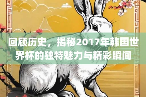 回顾历史，揭秘2017年韩国世界杯的独特魅力与精彩瞬间