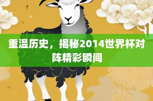 重温历史，揭秘2014世界杯对阵精彩瞬间