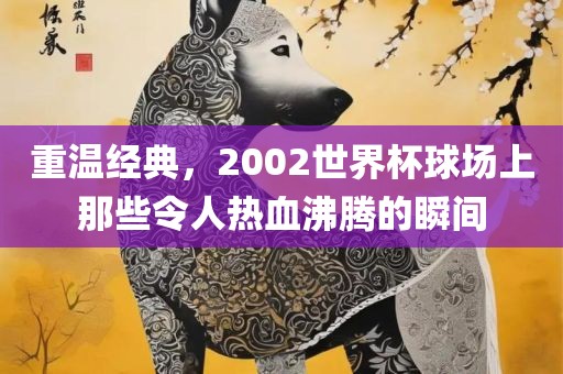 重温经典，2002世界杯球场上那些令人热血沸腾的瞬间
